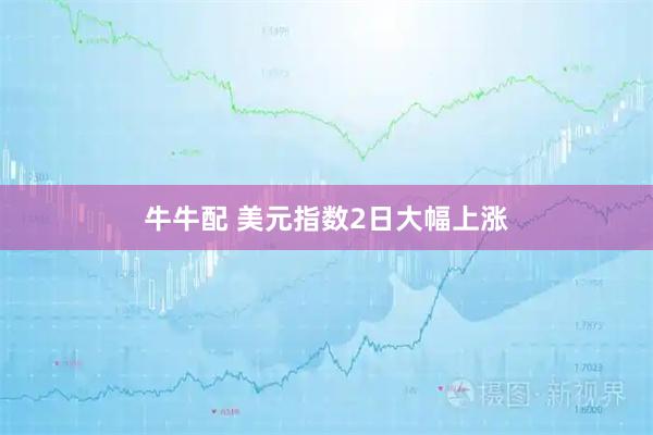 牛牛配 美元指数2日大幅上涨