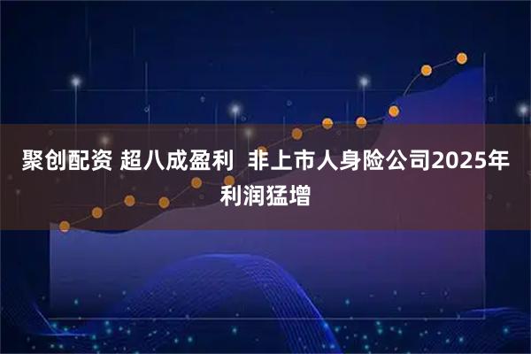 聚创配资 超八成盈利  非上市人身险公司2025年利润猛增