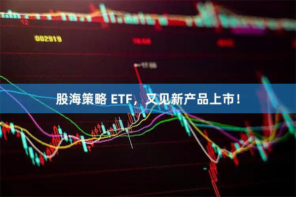 股海策略 ETF，又见新产品上市！