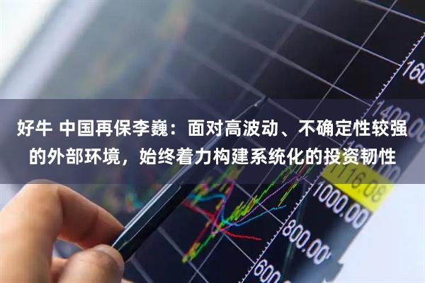 好牛 中国再保李巍:面对高波动、不确定性较强的外部环境,始终着力构建系统化的投资韧性