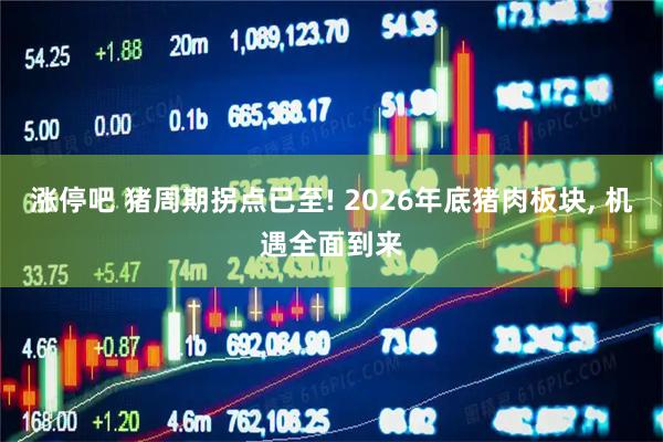 涨停吧 猪周期拐点已至! 2026年底猪肉板块, 机遇全面到来
