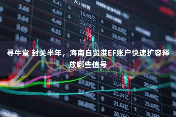 寻牛堂 封关半年，海南自贸港EF账户快速扩容释放哪些信号