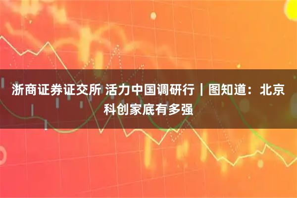 浙商证券证交所 活力中国调研行｜图知道：北京科创家底有多强