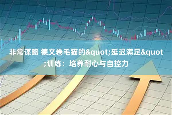 非常谋略 德文卷毛猫的"延迟满足"训练：培养耐心与自控力