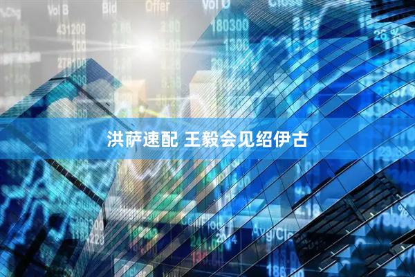 洪萨速配 王毅会见绍伊古