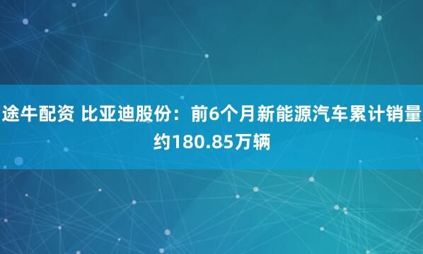 途牛配资 比亚迪股份：前6个月新能源汽车累计销量约180.85万辆