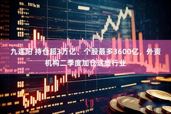 九连阳 持仓超3万亿、个股最多3600亿，外资机构二季度加仓这些行业